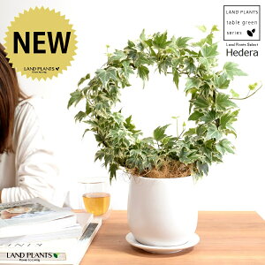 yz ACr[iOdj F hbv^ 픫 yRRt@Co[EĕzzCg  wf Ld^ ؒӑ   Aؔ 