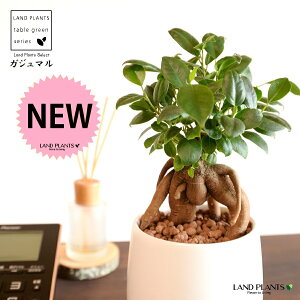 KW}ij Fhbv^ 픫 STCY ynCh{[EMzKW} K炷 K̎  ܂̖ A  ۔ Eh zCg  }bg 