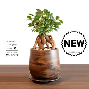 KW}ij Ebh yCg픫 STCY yVRӐ΁EMz ܂̖ KW} K炷 K̎  A  ۔  uE F   EH[