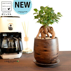 KW}ij Ebh yCg픫 STCY yVRӐ΁EMz ܂̖ KW} K炷 K̎  A  ۔  uE F   EH[