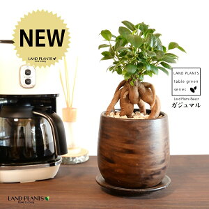 KW}ij Ebh yCg픫 STCY yVRӐ΁EMz ܂̖ KW} K炷 K̎  A  ۔  uE F   EH[