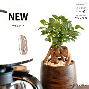 KW}ij Ebh yCg픫 STCY yVRӐ΁EMz ܂̖ KW} K炷 K̎  A  ۔  uE F   EH[