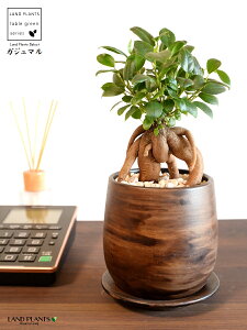 KW}ij Ebh yCg픫 STCY yVRӐ΁EMz ܂̖ KW} K炷 K̎  A  ۔  uE F   EH[