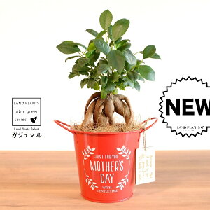 KW}ij Motherfs day uL oPc ԐF ؐv[gt y̓Mtg v[gz ܂̖ KW} K炷 K̎   bh F IW 