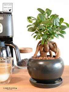 ܂ij F  픫 ynChEMz ubN K̎ 삪h A  c c  Eh ϗtA KW}