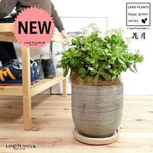 JlmiLiԌFJQcj fUC̗ǂ eRb^ 픫 yRRt@Co[EMz NbX |cPA A   ̂Ȃ t`xjxPC gٌc 