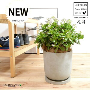 JlmiLiԌFJQcj Zg fUC̗ǂ 픫 yRRt@Co[EMz NbX |cPA A   ̂Ȃ t`xjxPC gٌc 