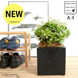 JlmiLiԌFJQcj F t@Co[ L[u^ 픫 yRRt@Co[z NbX |cPA A   ̂Ȃ t`xjxPC gٌc  FRP 