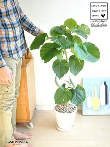 Ex[^i3DJ[uȂjF Eh 픫 LTCY y΁EMz zCg  퐻 A  c c A A  ی` Eh Ȗ͗l ϗt ϗtA ^ Ȃ 