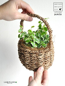 v~ij  t oXPbgZbg yoXPbgECi[ERRt@Co[z tBJX v~ v[~ JS  U  oXPbg  ϗtA ϗt