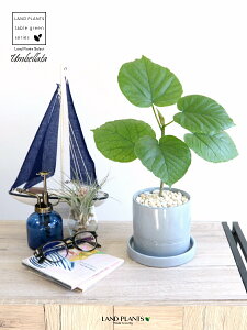 Ex[^iR`j F u₩} V_[^ 픫 yF΁EMz u[ TCY A  c c ϗtA  zCg 