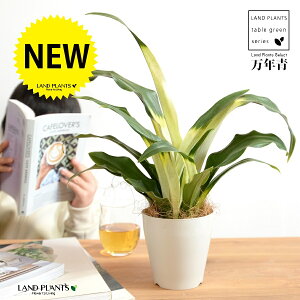 yz NFIgiڂ́j 4 vX`bN F yRRt@Co[z _Ig Lc N ^ ^Abv N  XY g  Ԓdj  A