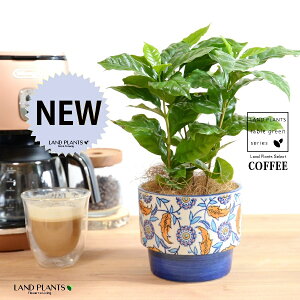 yJo[z R[q[̖ u[ h yCgvg it 픫 yRRt@Co[z  coffee R[q[mL c c ϗtA A A   IW zCg u
