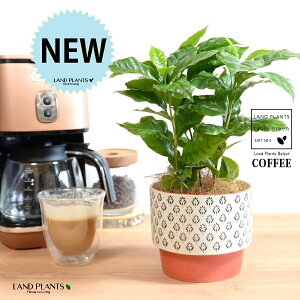 yJo[z R[q[̖ IW h yCgvg it 픫 yRRt@Co[z  coffee R[q[mL c c ϗtA A A   IW zCg 