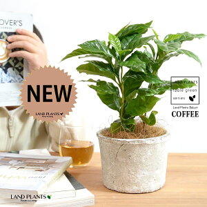 R[q[̖ F X|bg V_[^ 픫 yRRt@Co[z zCg  coffee R[q[mL c c ϗtA A A    N[ f fĂ eRb^ 