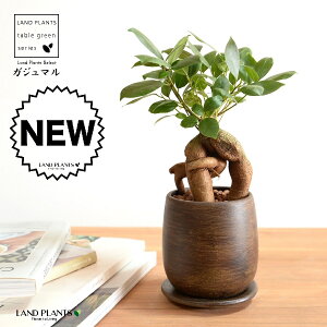 yh蔫z KW} SSTCY Ebh yCg픫 i10j ynChEMz ܂̖ KW} K炷 K̎  A  ۔  uE F  