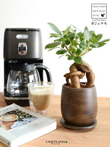 yIWiz KW} Ebh yCg픫 SSTCY i24j ynChEMz ܂̖ KW} K炷 K̎  A  ۔  uE F 