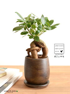 yLPIWiz KW} Ebh yCg 픫 SSTCY i12j ynChEMz ܂̖ KW} K炷 K̎  A  ۔  uE F 