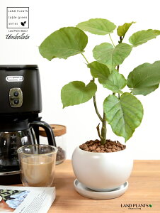 Ex[^iR`j F ی^ 픫 ynChEMz  zCg  {[ TCY A  c c ϗtA