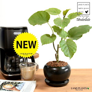 Ex[^iR`j F  픫 ynChEMz  ubN  {[ TCY A  c c ϗtA