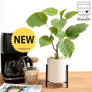 yJo[z Ex[^iR`j ACAX^ht 픫 F STCY ynCh{[EACAX^hz   X^h   IW ubN zCg TCY