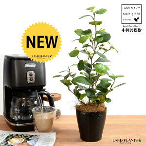 yz Ro{_CWij F vX`bN 4 yRRt@Co[z  ubN tBJX fgCfA  {_CW TCY A  c c ϗtA