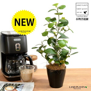 yz Ro{_CWij F vX`bN 4 yRRt@Co[z  ubN tBJX fgCfA  {_CW TCY A  c c ϗtA