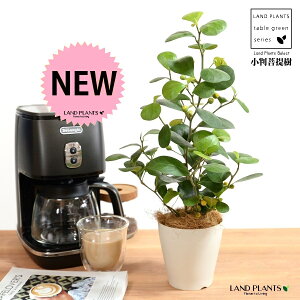 yz Ro{_CWij F vX`bN 4 yRRt@Co[z  zCg tBJX fgCfA  {_CW TCY A  c c ϗtA