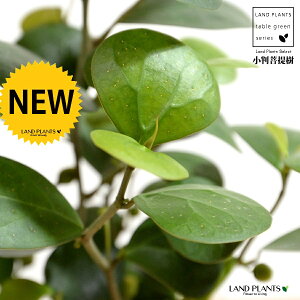 yz Ro{_CWij F vX`bN 4 yRRt@Co[z  zCg tBJX fgCfA  {_CW TCY A  c c ϗtA