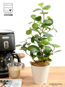 yz Ro{_CWij F vX`bN 4 yRRt@Co[z  zCg tBJX fgCfA  {_CW TCY A  c c ϗtA