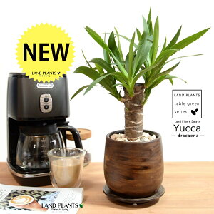 hZi ibJ FN̖؁j Ebh yCg 픫 yVRӐ΁EMz ł uE ؖ ؖڒ EH[ibg MKeBA E[c bJ bJ A   