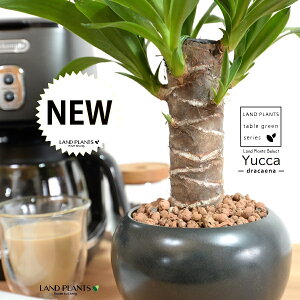 hZi ibJ FN̖؁j F  픫 ynChEMz F ubN  }bg MKeBA E[c bJ bJ A    ۔ {[ ϗtA 