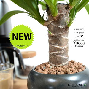 hZi ibJ FN̖؁j F  픫 ynChEMz F ubN  }bg MKeBA E[c bJ bJ A    ۔ {[ ϗtA 