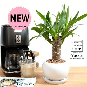 hZi ibJ FN̖؁j F ی^ 픫 ynChEMz F zCg MKeBA E[c bJ bJ A    ۔ {[ ϗtA ZW 