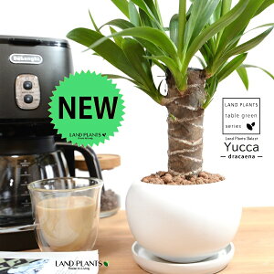 hZi ibJ FN̖؁j F ی^ 픫 ynChEMz F zCg MKeBA E[c bJ bJ A    ۔ {[ ϗtA ZW 