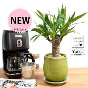 hZi ibJ FN̖؁j O[ ̂ 픫 STCY yVRӐ΁EMz   MKeBA E[c bJ bJ A   Eh o[ ϗt