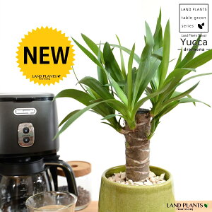 hZi ibJ FN̖؁j O[ ̂ 픫 STCY yVRӐ΁EMz   MKeBA E[c bJ bJ A   Eh o[ ϗt