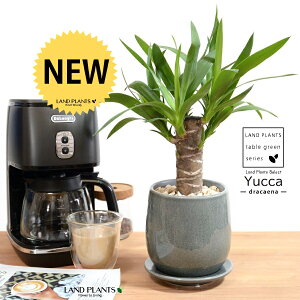 hZi ibJ FN̖؁j u[ ̂ 픫 STCY yVRӐ΁EMz  F MKeBA E[c bJ bJ A   Eh o[ ϗtA