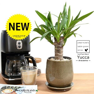 hZi ibJ FN̖؁j x[W ̂ 픫 STCY yVRӐ΁EMz uE  MKeBA E[c bJ bJ A   Eh o[ 