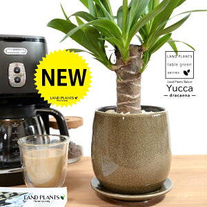 hZi ibJ FN̖؁j x[W ̂ 픫 STCY yVRӐ΁EMz uE  MKeBA E[c bJ bJ A   Eh o[ 