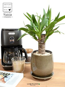 hZi ibJ FN̖؁j x[W ̂ 픫 STCY yVRӐ΁EMz uE  MKeBA E[c bJ bJ A   Eh o[ 