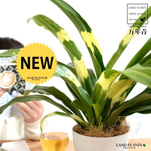 yz NFIgiDj 4 vX`bN F yRRt@Co[z _Ig Lc N ^ ^Abv N  XY g  Ԓdj ^Ju