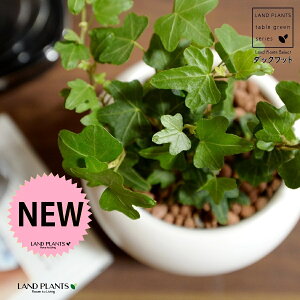 ACr[i_bNtbgj F ی^ 픫 ynCh{[EMz zCg Aq Ђ Ɗ _bN tbg  wf Ld^ ؒӑ   Aؔ  A ϗtA c c 