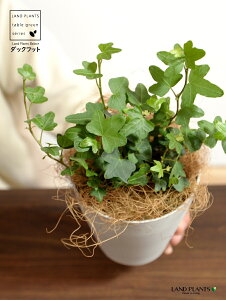 yz ACr[i_bNtbgj 4 vX`bN F yRRt@Co[z zCg Aq Ђ Ɗ _bN tbg  wf Ld^ ؒӑ   Aؔ Jo[ v 