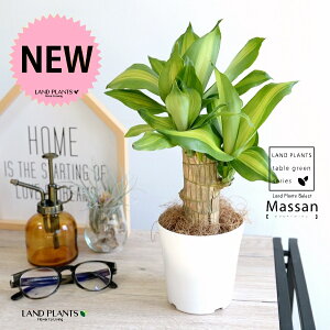 yz hZii}bTFK̖؁j 4 F vX`bN yRRt@Co[z zCg}bTQAi }bTMAi EPcWA  v c c ϗtA 