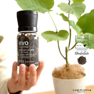 yM×엿 3_Zbgz Ex[^iR`j 4 vX`bN F yevoAC85gEMERRt@Co[z evo ACɂȂ 엿 85g vX`bN v \[T[ M  