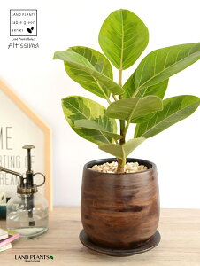 yz AeV[}ij Ebh yCg 픫 STCY yVRӐ΁EMz EH[ibg AeB[V} AeBbV} AeV} oGK[^  Ft 傫ȗt 