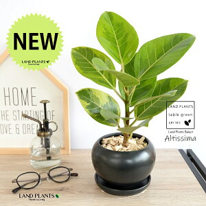 yiz AeV[}ij F  픫 yVRӐ΁EMz  ubN AeB[V} AeBbV} AeV} oGK[^  Ft t͗l  A  c c