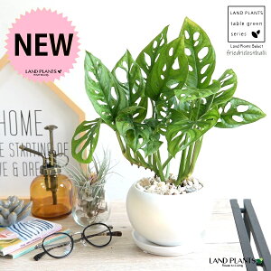 }hJYij F ی^ 픫 yVRӐ΁EMz  zCg t[hqX^[[ zECVE Xe JY }hJd  픫  c c ی`  {[ 