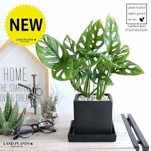 }hJYij F L[u^ 픫 STCY yVRӐ΁EMz  ubN t[hqX^[[ zECVE Xe JY }hJd  픫  c c p 